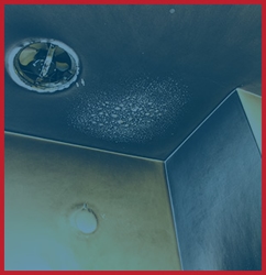 Smoke and Fire Damage Image