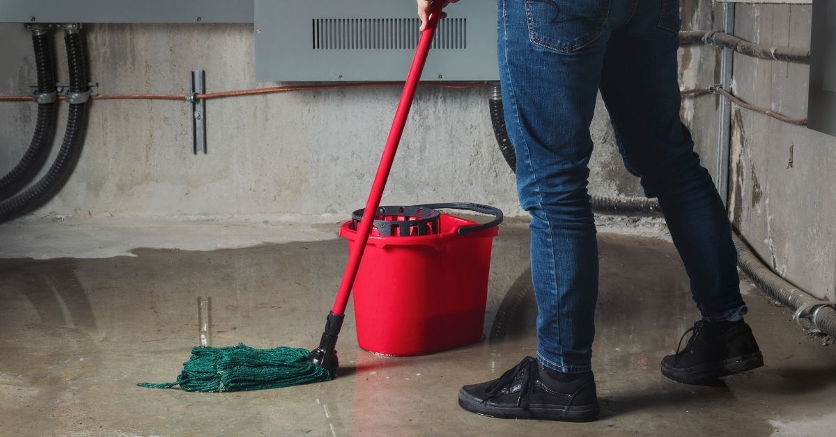 Why You Shouldn't DIY Water Damage Restoration
