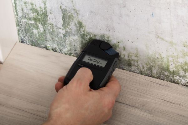 3 Important Reasons for Mold Testing In Longboat Key