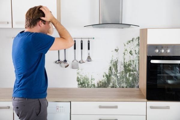 Mold In Fort Myers Common Causes Of Kitchen Mold