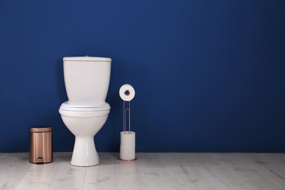 toilet against navy blue wall