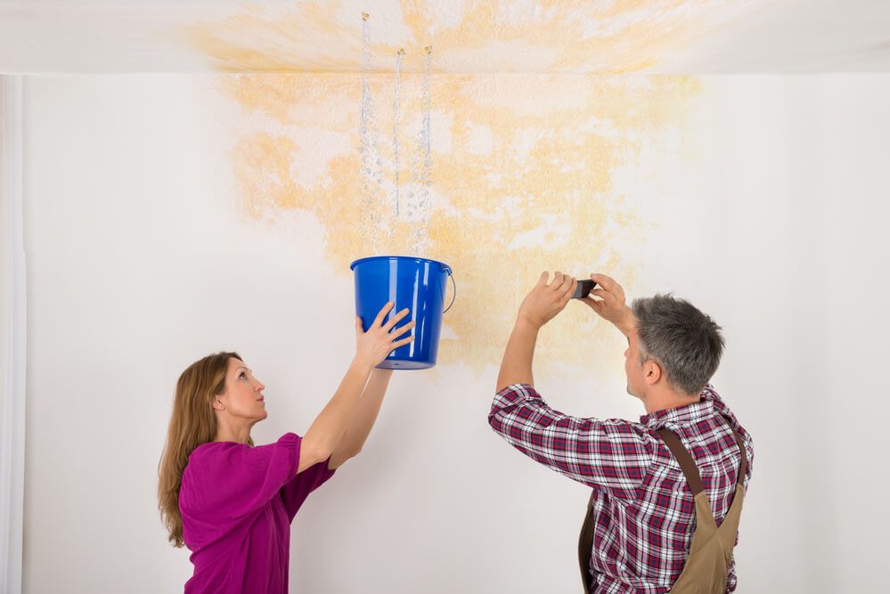 mold in home