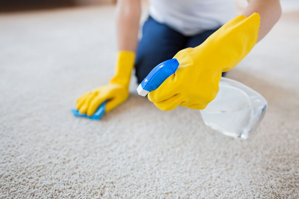 cleaning on carpet